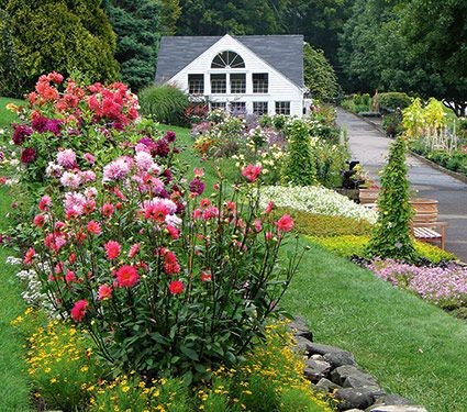 White Flower Farm