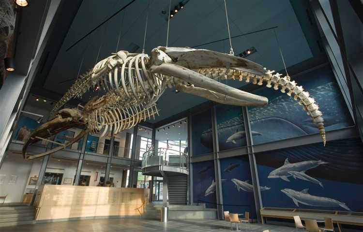 Historic New Bedford