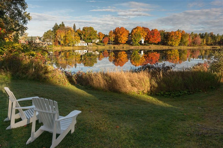 Rangeley Inn Wildlife & Moose Safari