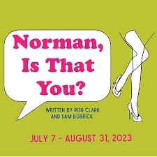 Newport Playhouse "Norman Is That You?"