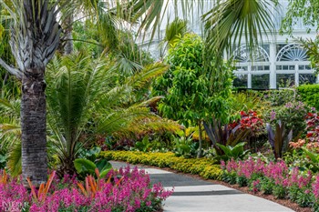 New York Botanic Garden 