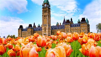 Canadian Tulip Festival & Montreal